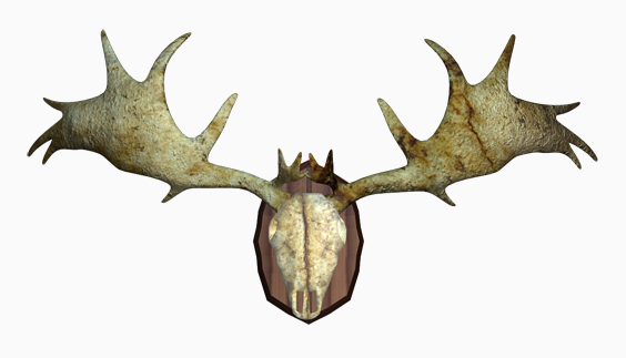 Irish elk antlers
