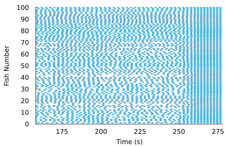 Graph of simulated wakfish calls becoming synchronized