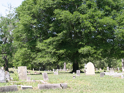 Pine Forest Cemetery
